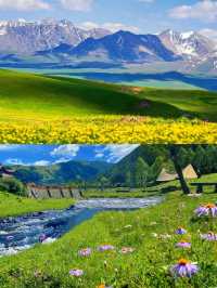 北疆12日攻略美景盡收眼底
