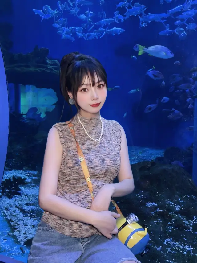 這個五一總要來一次海洋公園吧