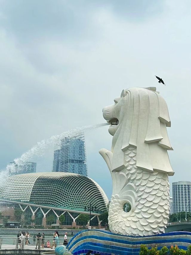 新加坡