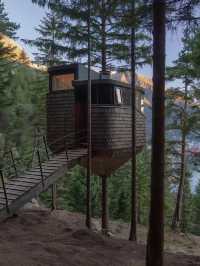 Woodnest｜走進小木屋的童話世界