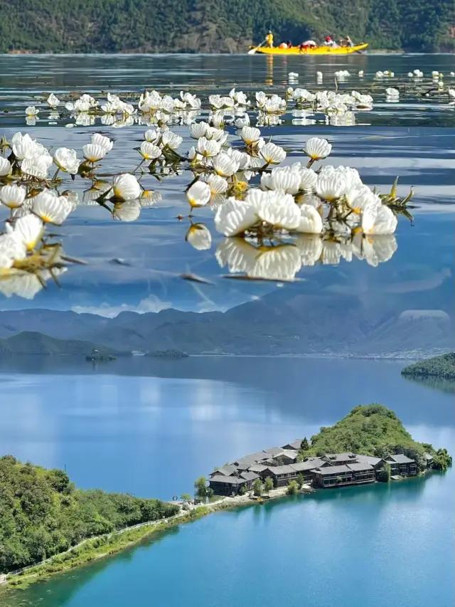 เมื่อก่อนฉันคิดว่าทะเลสาบ Erhai นั้นสวยงามมากแล้ว จนกระทั่งฉันไปที่ทะเลสาบ Lugu