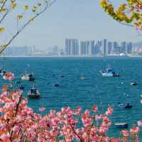 春天打卡山東威海環翠樓