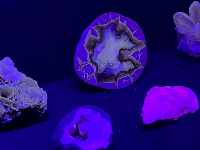 這是2024年最值得帶娃來的博物館！