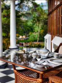 🌱🍵 Serenity in Sri Lanka: Ceylon Tea Trails Escape 🍵🌱