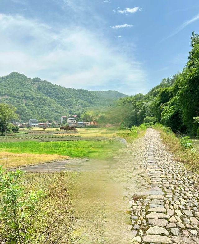新昌美景