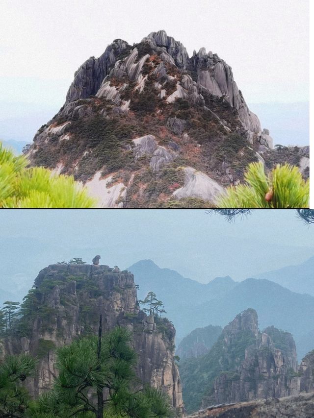 黃山的呼喚：與雲為友，與峰對話
