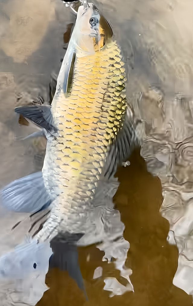 遷西溝龍神谷玩水摸魚