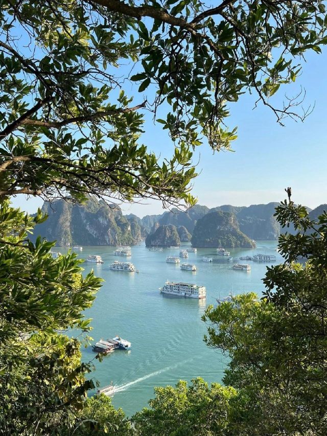 越南河內自由行攻略，新手必看！！