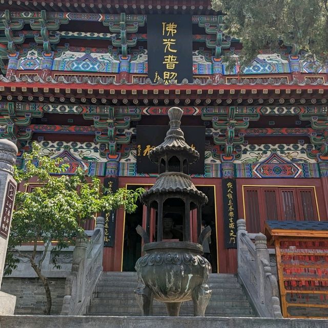 Half day trip to Longmen grottoes