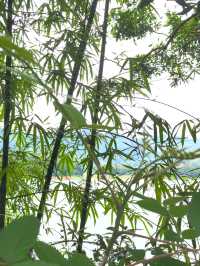 遠方不遠只要心之所向第二十二篇～～饒平東坑村