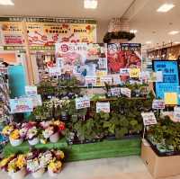逛逛日本札幌三井奧特萊斯