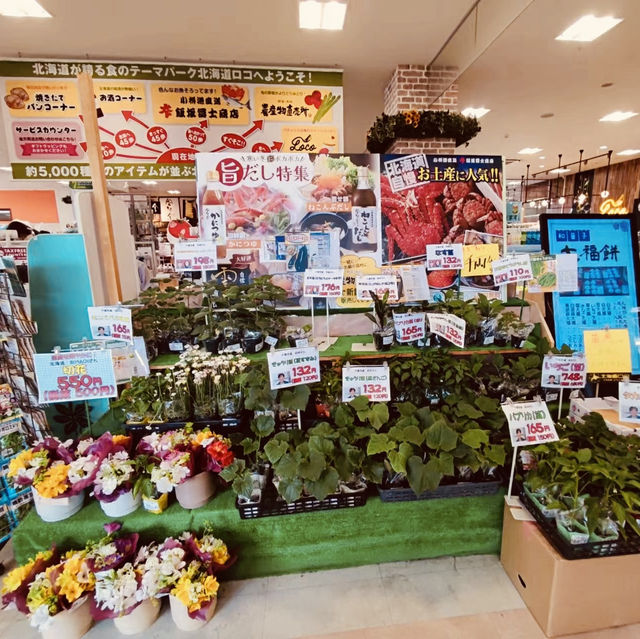 逛逛日本札幌三井奧特萊斯
