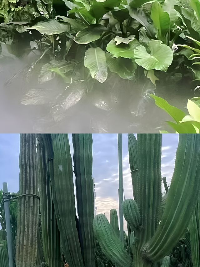 快帶上寶貝來一場難忘的廈門親子遊吧！