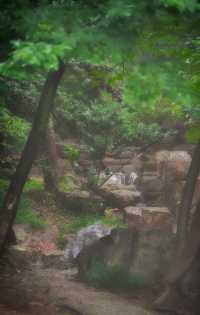 真的好避暑，常熟的免費夏日溯溪
