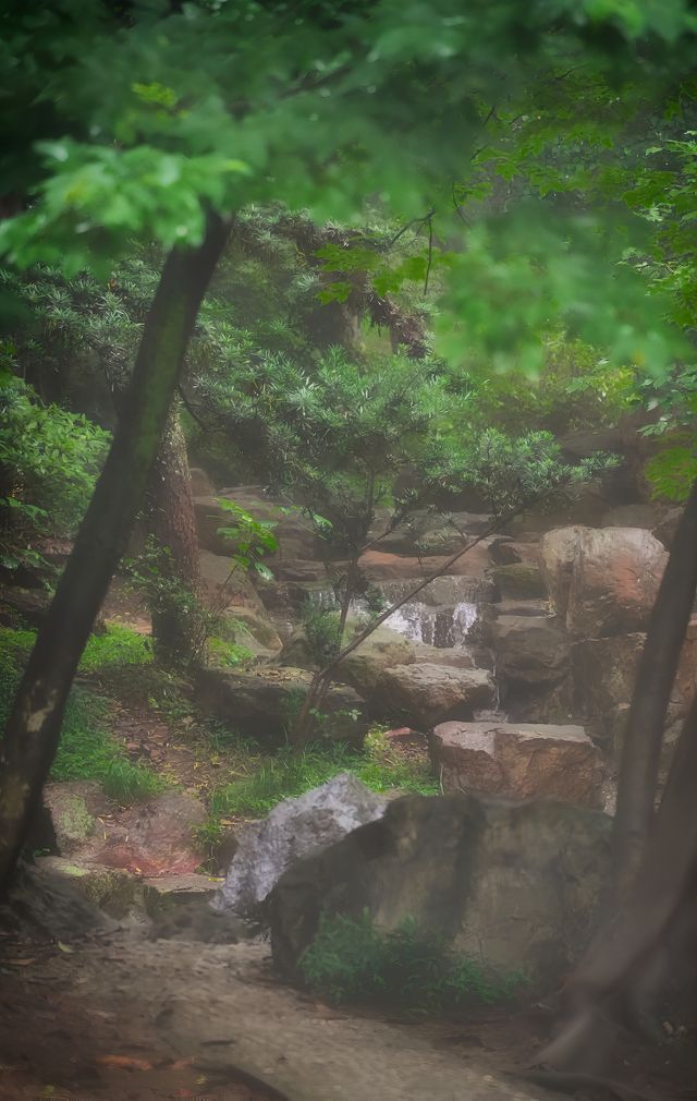 真的好避暑，常熟的免費夏日溯溪