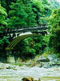 原始森林公園，絕美之旅