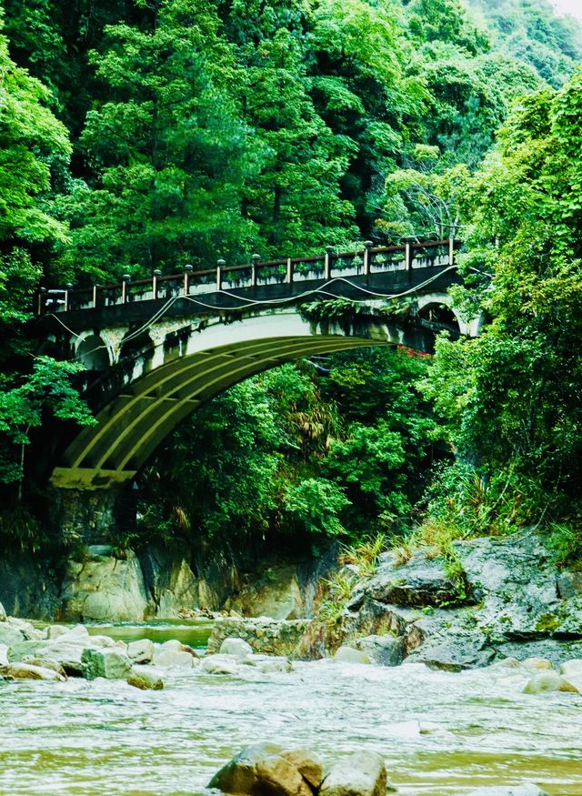 原始森林公園，絕美之旅