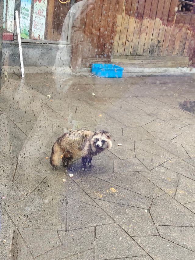 放鬆仙境——大陽山國家森林公園