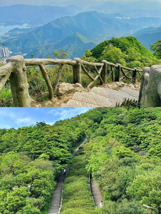 鐵直達深圳梧桐山！去爬山看這篇就夠啦|||