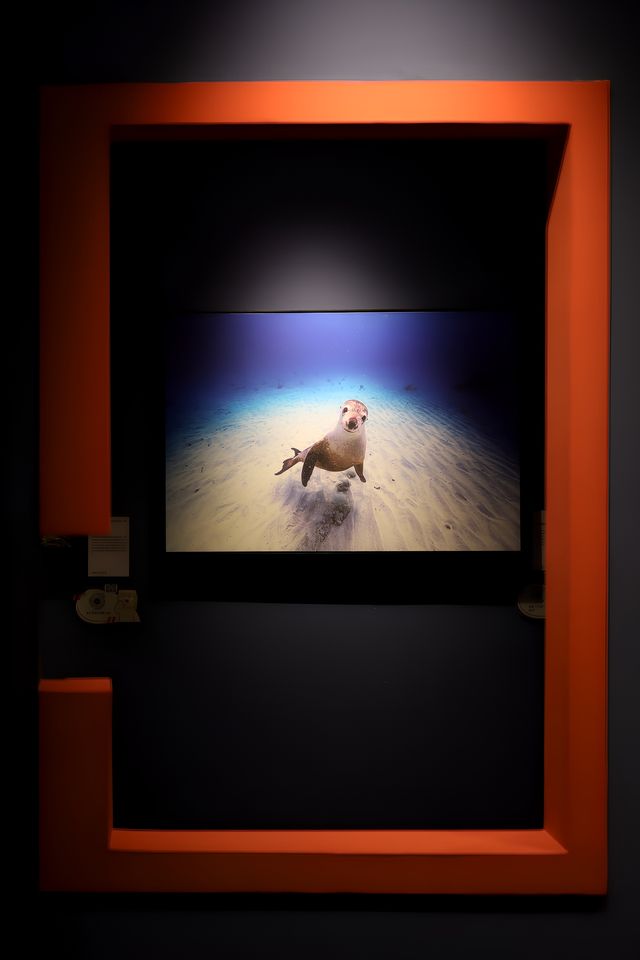 中國國家地理影像大展終於登陸廣州啦！敲震撼