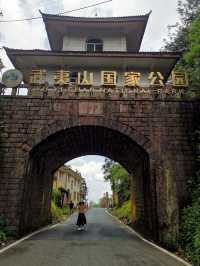 桐木關