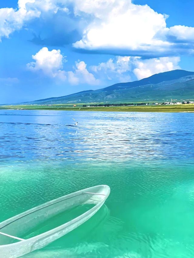 和冠军一起看青海湖世界级风景