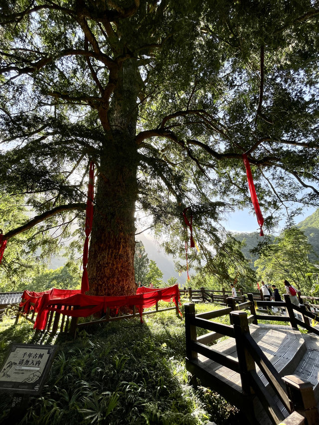 神農壇風景區（神農架林區）