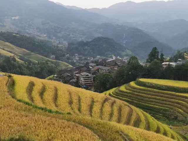 一生必看美景-桂林龙脊梯田,千年歷史,中國最美的梯田