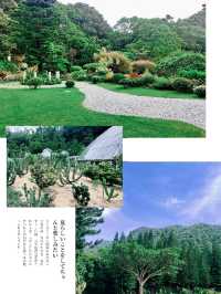 仙湖植物園，綠色的童話世界