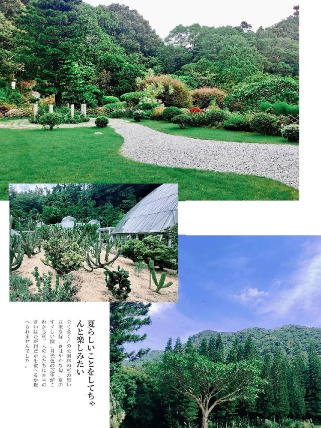 仙湖植物園，綠色的童話世界