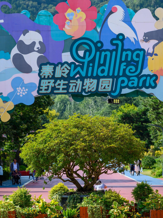 西安秦嶺野生動物園。