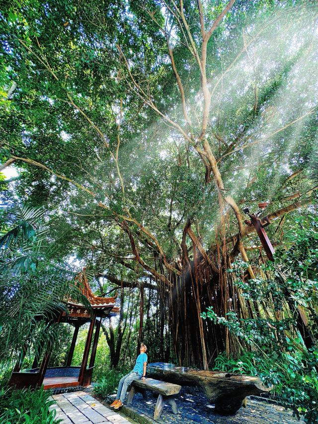 Seek tranquility and escape the summer heat in midsummer, come to Yunfu Xinxing Longshan Hot Spring Hotel!