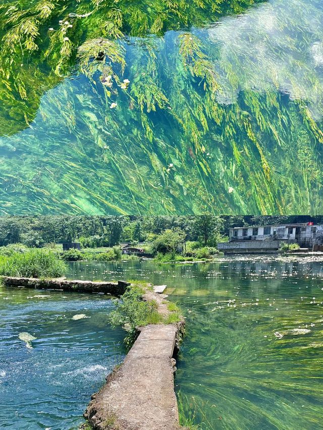 都安澄江會開花的河美得像一幅畫不要