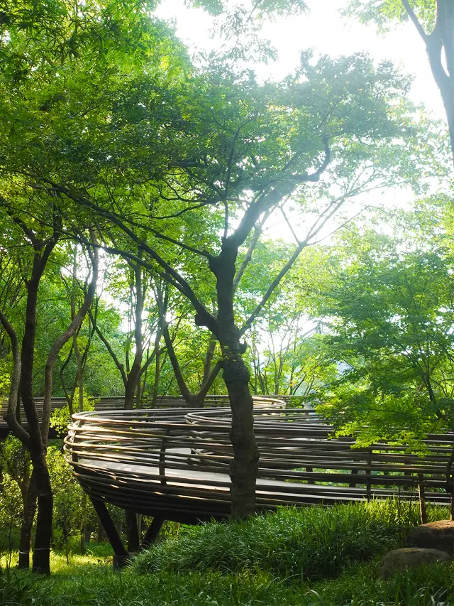 Hangzhou | The White Snake Flying Bridge from the Legend of the White Snake! 