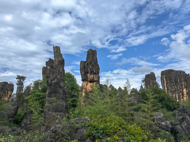 AAAA景區公園中醫藥博物館大花園。