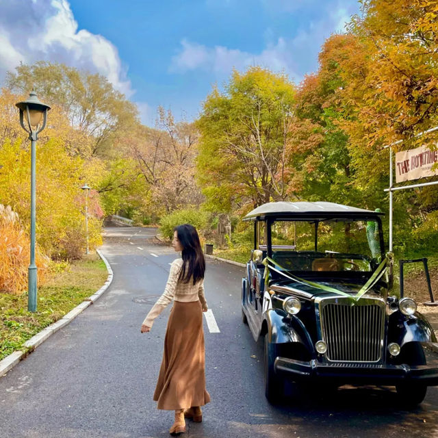 Beautiful Autumn scenery in Shenyang 