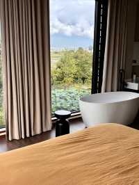 大理 住上了田園風光美學天花板～