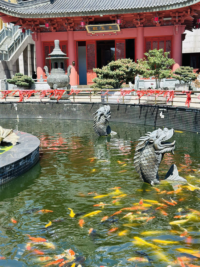 金山東蓮寺。