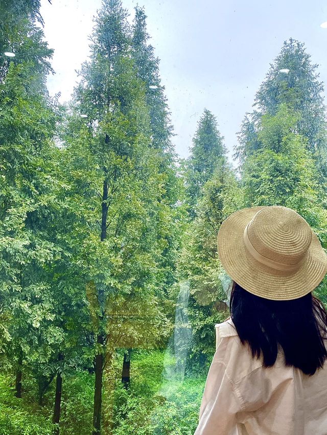 我以為青城山已經夠靚佘,直到我去咗無憂谷...