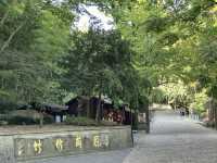 寧波古剎中的頂流——天童寺。