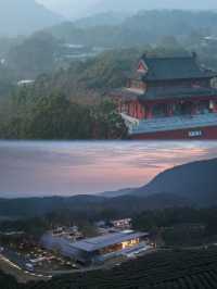 大樂之野．山與寺給你一個逃離喧囂的理由。