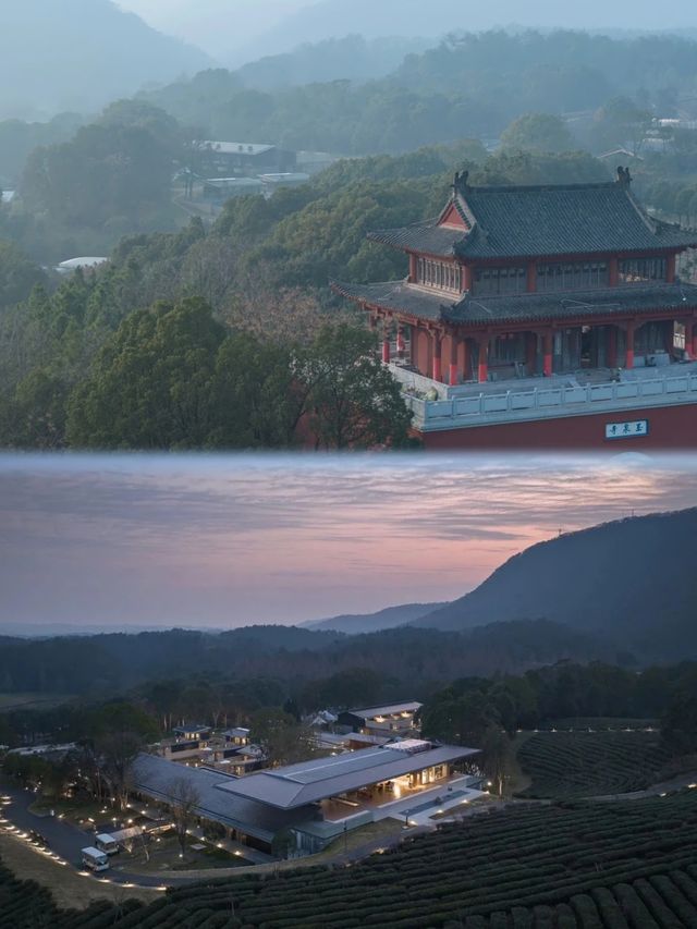 大樂之野．山與寺給你一個逃離喧囂的理由。