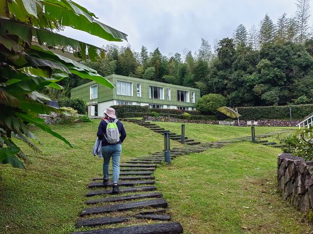 泰順的阿勒泰，雲嵐牧場。