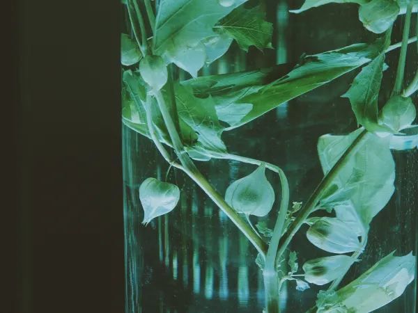 一定是廣州夢核感最強的博物館❗📸