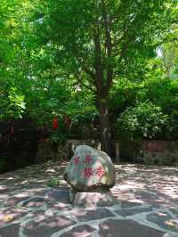 西部長青遊山玩水。