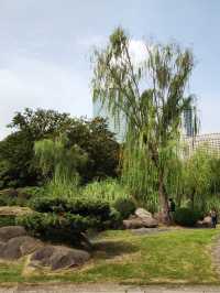 新虹橋中心花園。