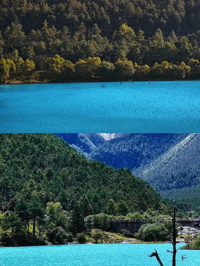 山不見我，我自去見山。。