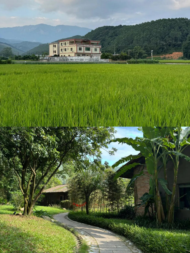 就在羅浮山腳下，廣東版去有風的地方。