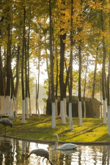 撿秋Citywalk 邂逅南昌浪漫。