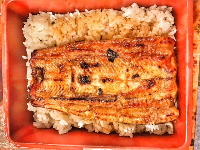 台北➡️肥前屋➡️鰻魚飯➡️排骨蛋飯🍱